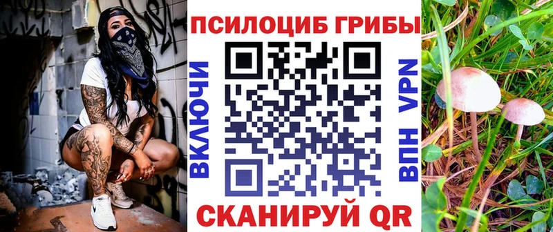 закладка  Щёлкино  Галлюциногенные грибы мицелий 